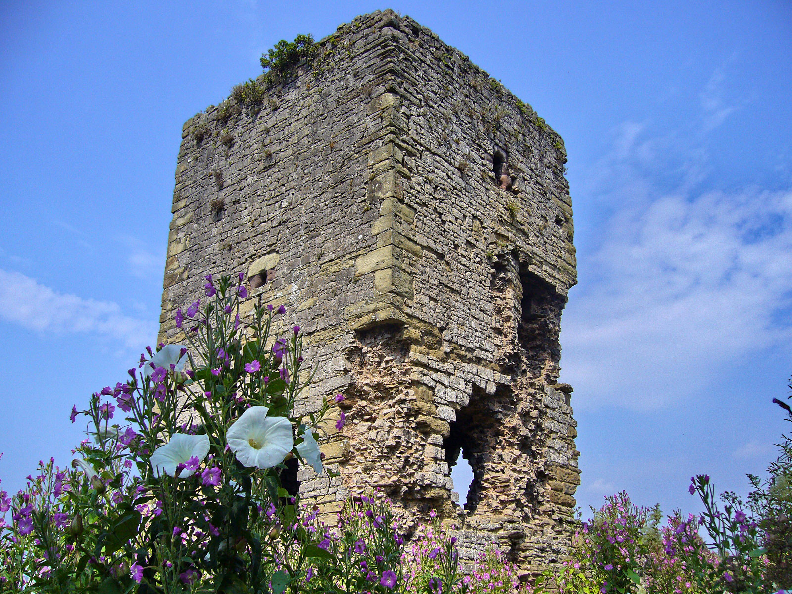 Rhuddlan Castle
